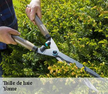 Taille de haie Yonne
