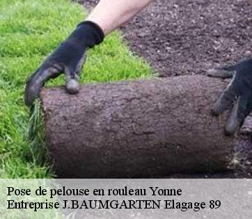 Pose de pelouse en rouleau 89 Yonne  Entreprise J.BAUMGARTEN Elagage 89