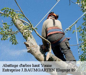 Abattage d'arbre haut 89 Yonne  Entreprise J.BAUMGARTEN Elagage 89