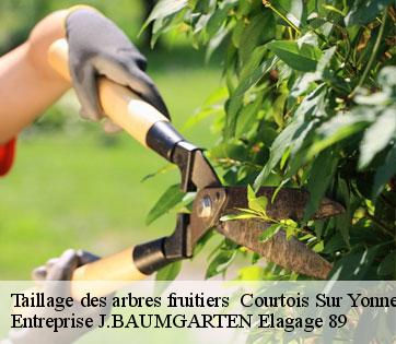 Taillage des arbres fruitiers   courtois-sur-yonne-89100 Entreprise J.BAUMGARTEN Elagage 89