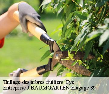 Taillage des arbres fruitiers   fye-89800 Entreprise J.BAUMGARTEN Elagage 89