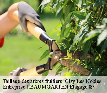 Taillage des arbres fruitiers gisy-les-nobles-89140 Entreprise J.BAUMGARTEN Elagage 89