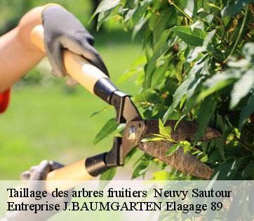 Taillage des arbres fruitiers neuvy-sautour-89570 Entreprise J.BAUMGARTEN Elagage 89