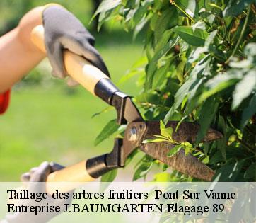 Taillage des arbres fruitiers   pont-sur-vanne-89190 Entreprise J.BAUMGARTEN Elagage 89