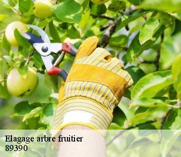 Elagage arbre fruitier  89390