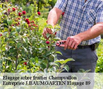 Elagage arbre fruitier  champvallon-89710 Entreprise J.BAUMGARTEN Elagage 89