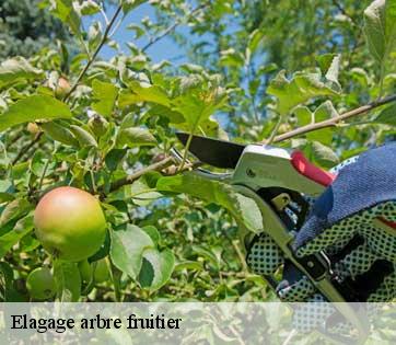 Elagage arbre fruitier