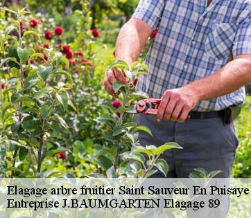 Elagage arbre fruitier  saint-sauveur-en-puisaye-89520 Entreprise J.BAUMGARTEN Elagage 89