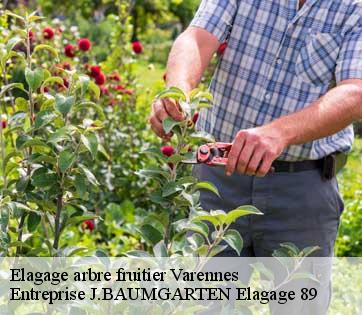 Elagage arbre fruitier  varennes-89144 Entreprise J.BAUMGARTEN Elagage 89