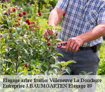 Elagage arbre fruitier villeneuve-la-dondagre-89150 Entreprise J.BAUMGARTEN Elagage 89