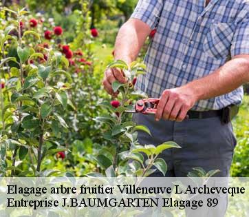 Elagage arbre fruitier  villeneuve-l-archeveque-89190 Entreprise J.BAUMGARTEN Elagage 89