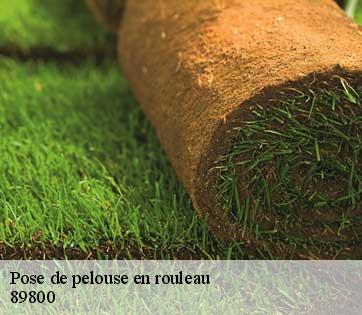 Pose de pelouse en rouleau 89800
