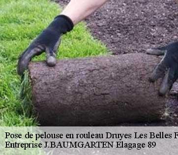 Pose de pelouse en rouleau druyes-les-belles-fontain-89560 Entreprise J.BAUMGARTEN Elagage 89