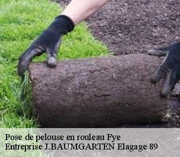 Pose de pelouse en rouleau  fye-89800 Entreprise J.BAUMGARTEN Elagage 89