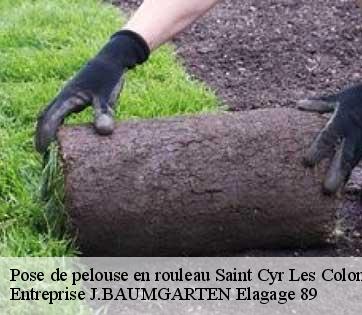 Pose de pelouse en rouleau  saint-cyr-les-colons-89800 Entreprise J.BAUMGARTEN Elagage 89