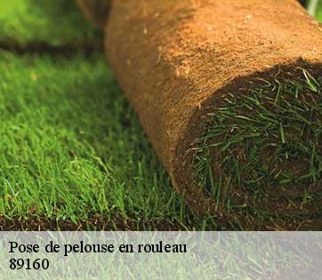 Pose de pelouse en rouleau 89160