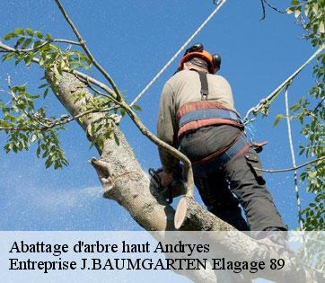 Abattage d'arbre haut  andryes-89480 Entreprise J.BAUMGARTEN Elagage 89