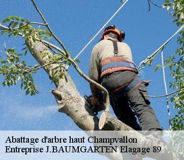 Abattage d'arbre haut  champvallon-89710 Entreprise J.BAUMGARTEN Elagage 89