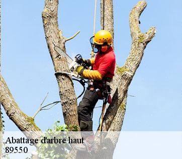 Abattage d'arbre haut  89550