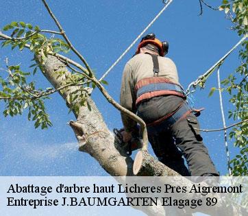 Abattage d'arbre haut  licheres-pres-aigremont-89800 Entreprise J.BAUMGARTEN Elagage 89