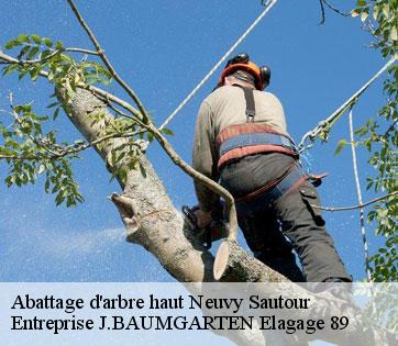 Abattage d'arbre haut  neuvy-sautour-89570 Entreprise J.BAUMGARTEN Elagage 89