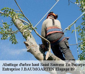 Abattage d'arbre haut  saint-sauveur-en-puisaye-89520 Entreprise J.BAUMGARTEN Elagage 89