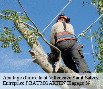 Abattage d'arbre haut  villeneuve-saint-salves-89230 Entreprise J.BAUMGARTEN Elagage 89
