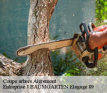 Coupe arbres  aigremont-89800 Entreprise J.BAUMGARTEN Elagage 89
