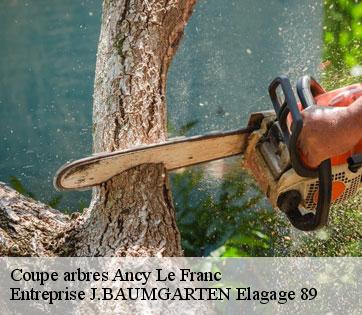 Coupe arbres  ancy-le-franc-89160 Entreprise J.BAUMGARTEN Elagage 89