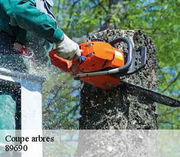 Coupe arbres  89690