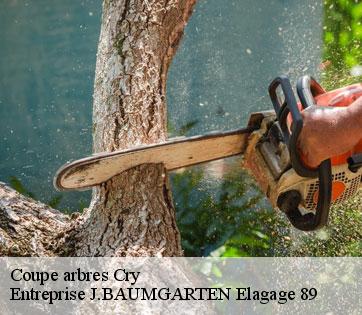 Coupe arbres  cry-89390 Entreprise J.BAUMGARTEN Elagage 89