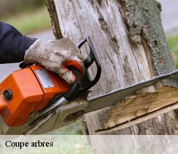 Coupe arbres