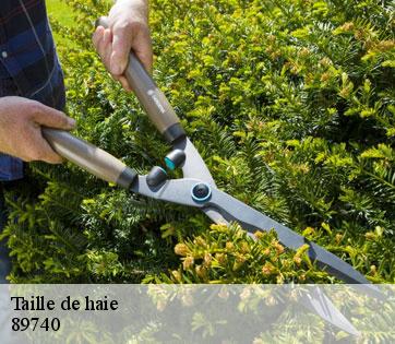 Taille de haie  89740