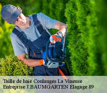 Taille de haie  coulanges-la-vineuse-89580 Entreprise J.BAUMGARTEN Elagage 89