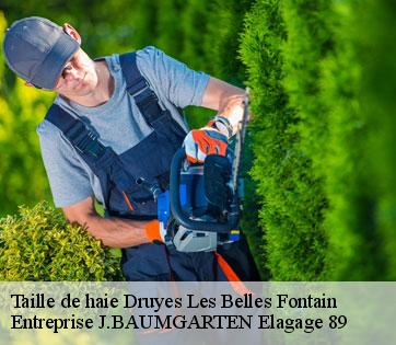 Taille de haie druyes-les-belles-fontain-89560 Entreprise J.BAUMGARTEN Elagage 89