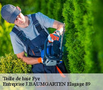 Taille de haie  fye-89800 Entreprise J.BAUMGARTEN Elagage 89