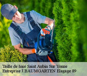 Taille de haie  saint-aubin-sur-yonne-89300 Entreprise J.BAUMGARTEN Elagage 89