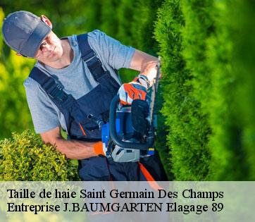 Taille de haie  saint-germain-des-champs-89630 Entreprise J.BAUMGARTEN Elagage 89