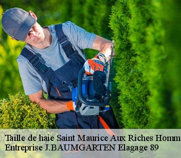 Taille de haie saint-maurice-aux-riches-hommes-89190 Entreprise J.BAUMGARTEN Elagage 89