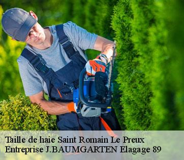 Taille de haie  saint-romain-le-preux-89116 Entreprise J.BAUMGARTEN Elagage 89