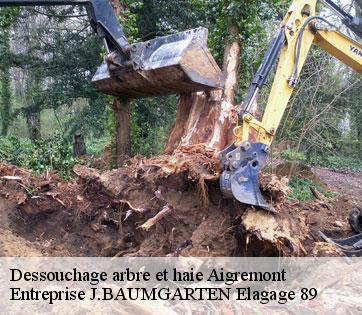 Dessouchage arbre et haie  aigremont-89800 Entreprise J.BAUMGARTEN Elagage 89