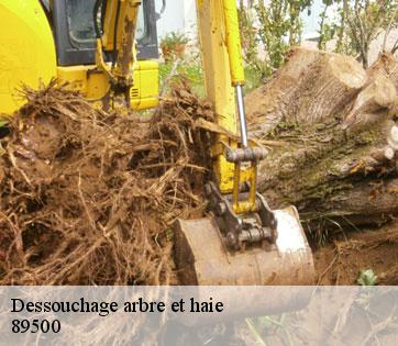 Dessouchage arbre et haie  89500