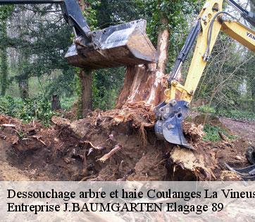 Dessouchage arbre et haie coulanges-la-vineuse-89580 Entreprise J.BAUMGARTEN Elagage 89