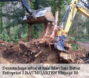 Dessouchage arbre et haie  marchais-beton-89120 Entreprise J.BAUMGARTEN Elagage 89