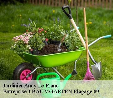 Jardinier  ancy-le-franc-89160 Entreprise J.BAUMGARTEN Elagage 89