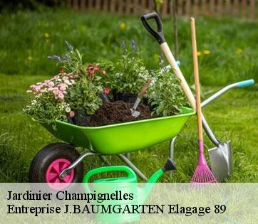 Jardinier  champignelles-89350 Entreprise J.BAUMGARTEN Elagage 89