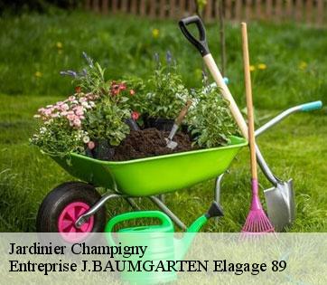Jardinier  champigny-89370 Entreprise J.BAUMGARTEN Elagage 89