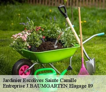 Jardinier  escolives-sainte-camille-89290 Entreprise J.BAUMGARTEN Elagage 89