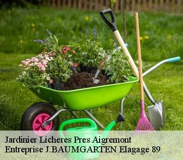 Jardinier  licheres-pres-aigremont-89800 Entreprise J.BAUMGARTEN Elagage 89