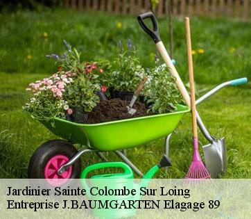 Jardinier  sainte-colombe-sur-loing-89520 Entreprise J.BAUMGARTEN Elagage 89